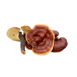 Гриб Рейші (Трутовик Лакований), 100 г