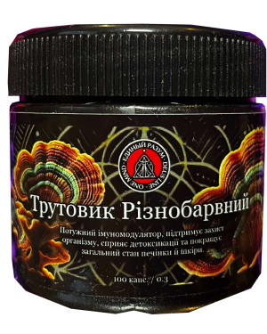 Трутовик Різнобарвний