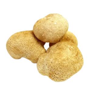 Їжовик Гребінчастий Плодові Тіла